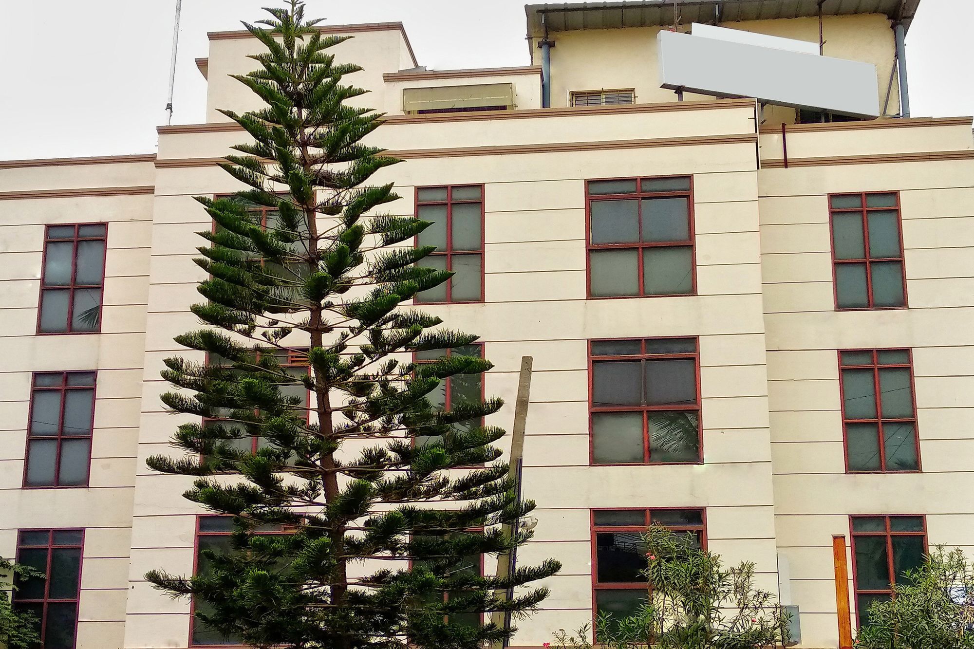 Oyo 539 Hotel Pearl Inn Bangalore Eksteriør billede